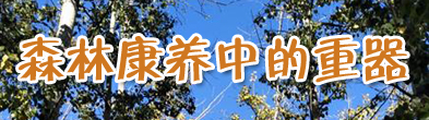 首頁9小圖廣告-5