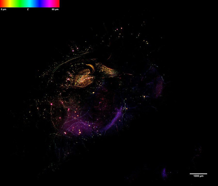 1129134068_16685927114801n.jpg